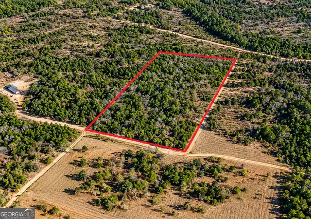 Photo 1 of Land for sale at 0 Black Crk Tr, Mauk, GA 31058 | MLS# 10879998 | Listing updated on 2026-10-28