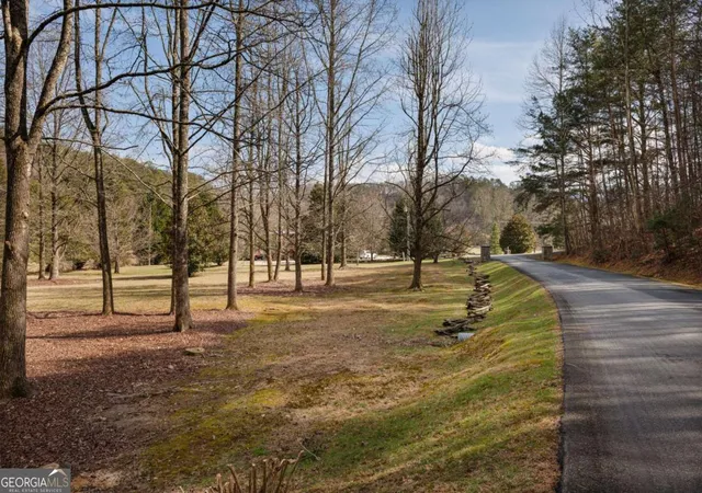 Homes for sale in Cherry Log, GA | 105 River Rd, Cherry Log, GA 30522 | MLS# 10709634