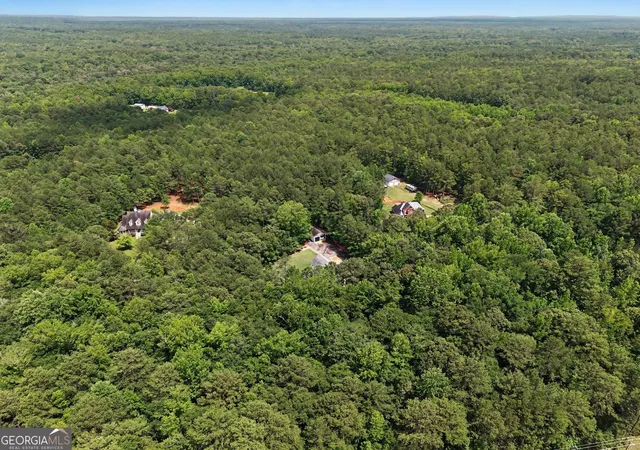 55th image of 260 Nixon Rd, Senoia, GA 30276 | MLS# 10802989