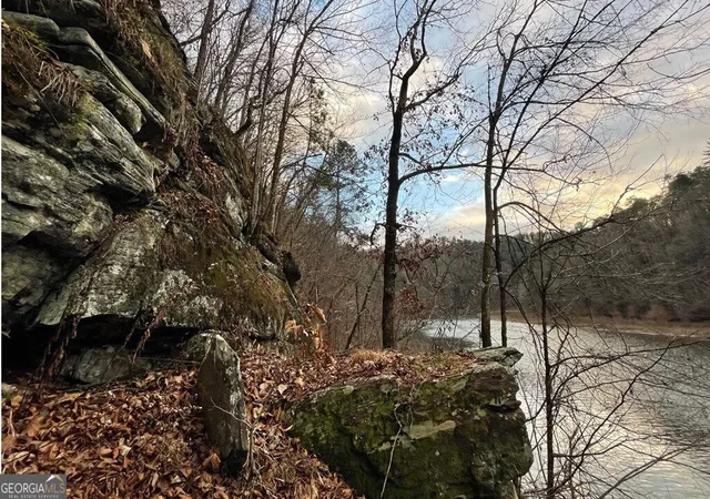 Photo 3 of Land for sale at 681,682 Julep Cir, Ellijay, GA 30540 | MLS# 10579625 | Listing updated on 2026-02-14