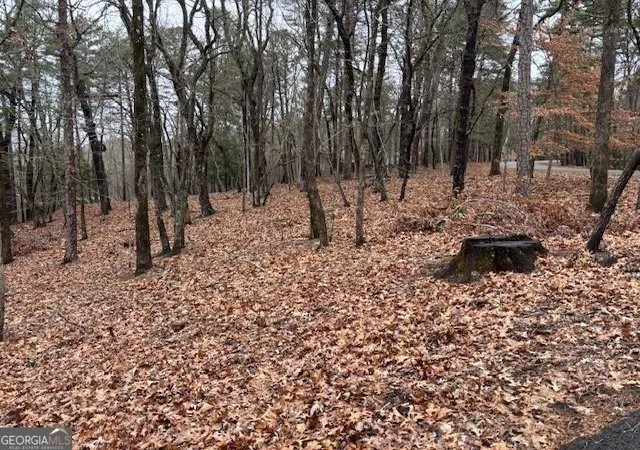 Photo 2 of Land for sale at 1023 Sparrows Nest, Jasper, GA 30143 | MLS# 10435350 | Listing updated on 2026-06-17