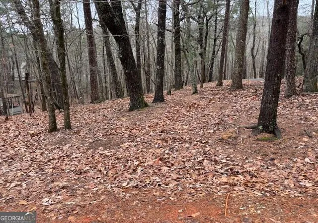 Photo 3 of Land for sale at 1023 Sparrows Nest, Jasper, GA 30143 | MLS# 10435350 | Listing updated on 2026-06-17