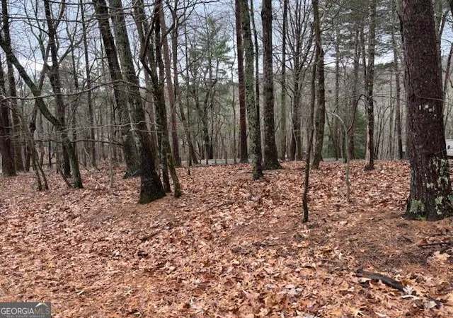 Photo 5 of Land for sale at 1023 Sparrows Nest, Jasper, GA 30143 | MLS# 10435350 | Listing updated on 2026-06-17