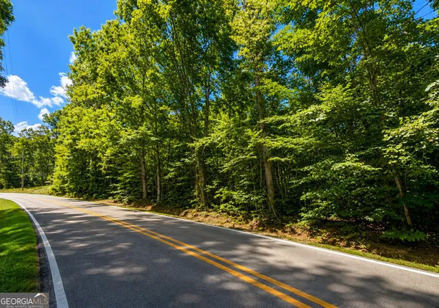 1st image of 165 Cooper Valley Rd, Martin, GA 30557 | MLS# 10831656