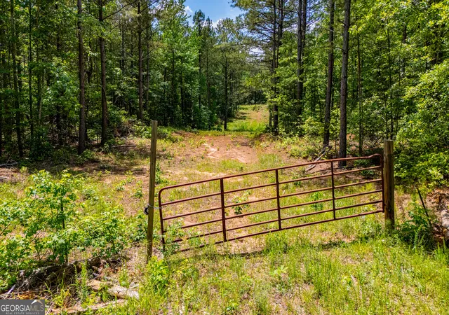 Homes for sale in Waco, GA | Us Hwy 78, Waco, GA 30182 | MLS# 10767186