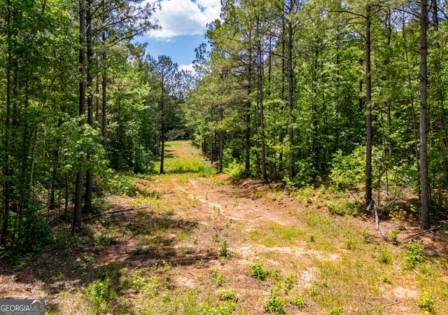 Homes for sale in Waco, GA | Us Hwy 78, Waco, GA 30182 | MLS# 10767186
