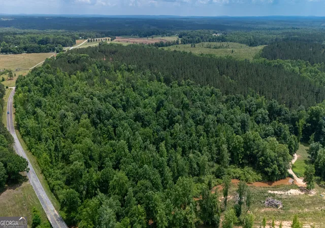 Homes for sale in West Point, GA | 0 Adams Rd, West Point, GA 31833 | MLS# 10772389