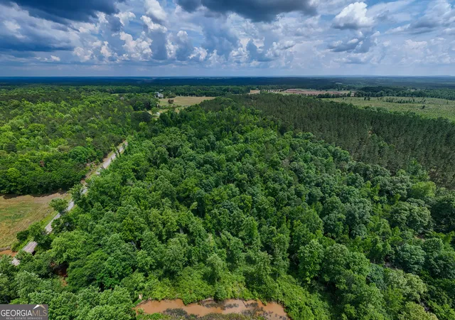 Homes for sale in West Point, GA | 0 Adams Rd, West Point, GA 31833 | MLS# 10772389