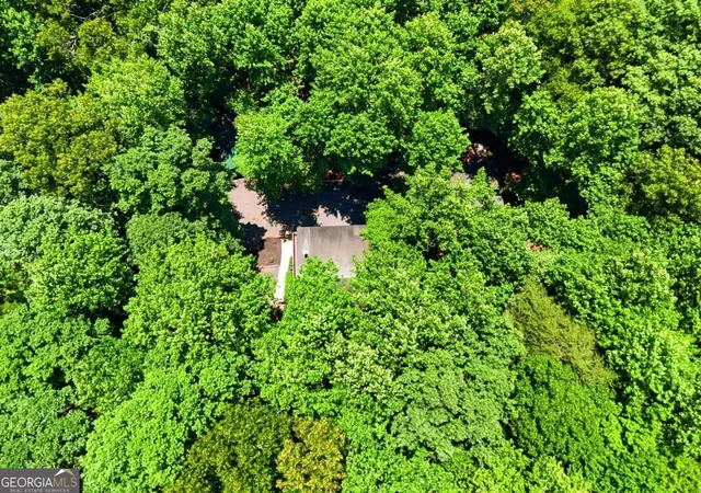 47th image of 151 Hatchet Trl, Cherrylog, GA 30522 | MLS# 10808318
