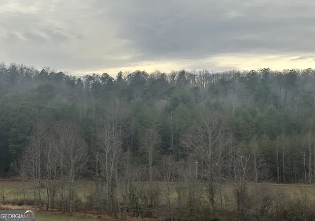 1st image of 168 Warren Rd, Blairsville, GA 30512 | MLS# 10650550