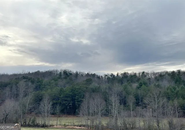 2nd image of 168 Warren Rd, Blairsville, GA 30512 | MLS# 10650550