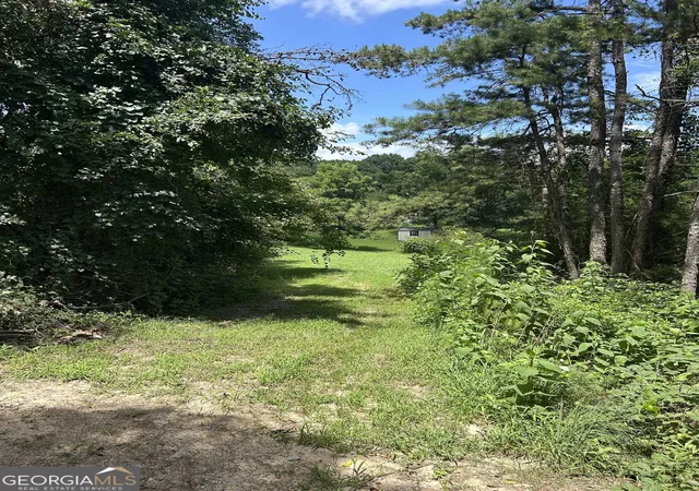 Photo 3 of Land for sale at 176 Bud Freeman Rd, Royston, GA 30662 | MLS# 10810855 | Listing updated on 2026-08-05