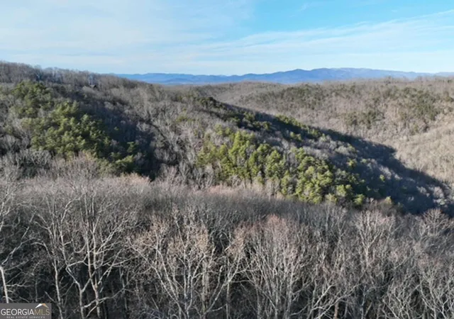 Photo 1 of Land for sale at 249 Andes Ridge, Ellijay, GA 30536 | MLS# 10787203 | Listing updated on 2026-09-11