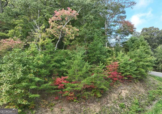 Photo 20 of Land for sale at 249 Andes Ridge, Ellijay, GA 30536 | MLS# 10787203 | Listing updated on 2026-09-11