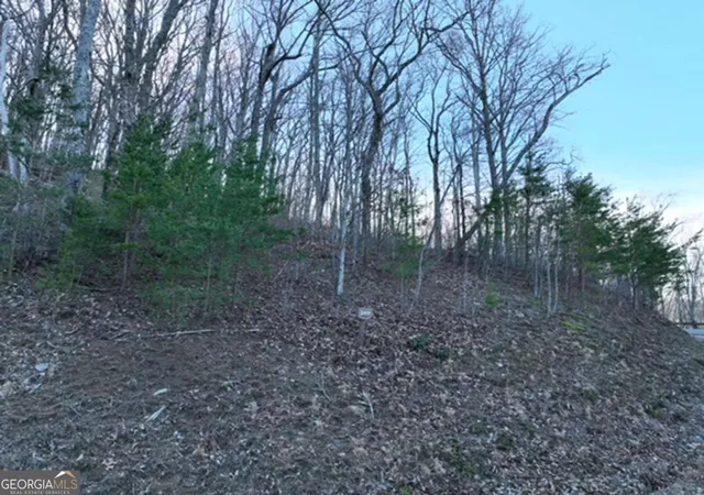 Photo 2 of Land for sale at 249 Andes Ridge, Ellijay, GA 30536 | MLS# 10787203 | Listing updated on 2026-09-11