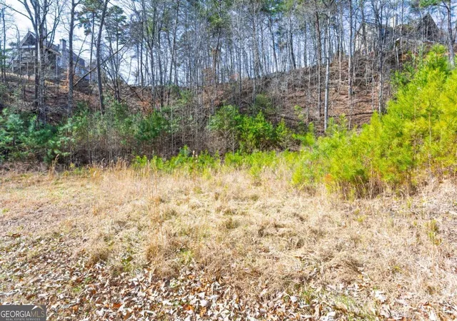 4th image of 53 Somerset Ln, Cartersville, GA 30121 | MLS# 10697348