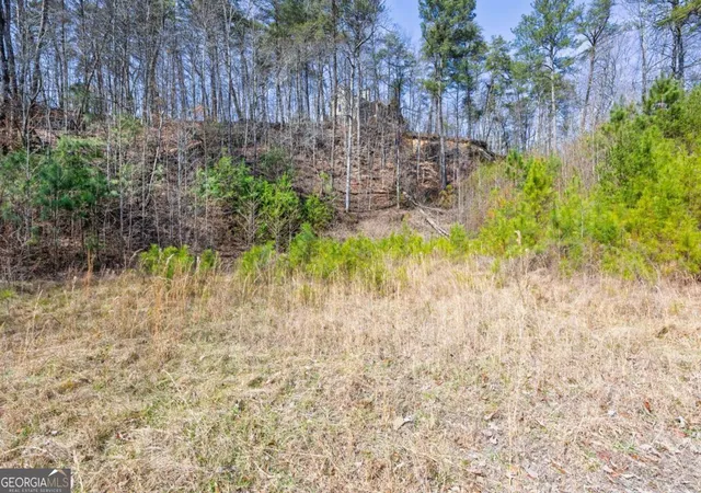 5th image of 53 Somerset Ln, Cartersville, GA 30121 | MLS# 10697348