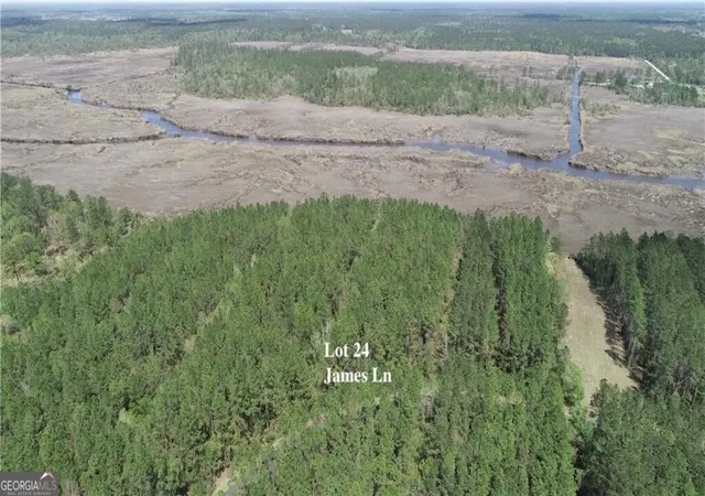4th image of Lot 24 James Ln, White Oak, GA 31568 | MLS# 10721209