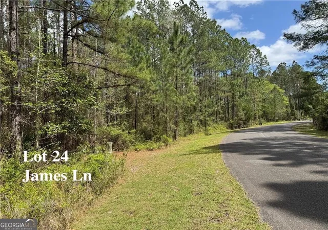 5th image of Lot 24 James Ln, White Oak, GA 31568 | MLS# 10721209