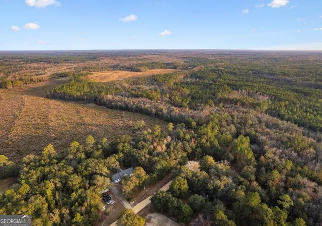 Homes for sale in Hortense, GA | 255 Spell Landing Rd, Hortense, GA 31543 | MLS# 10650395