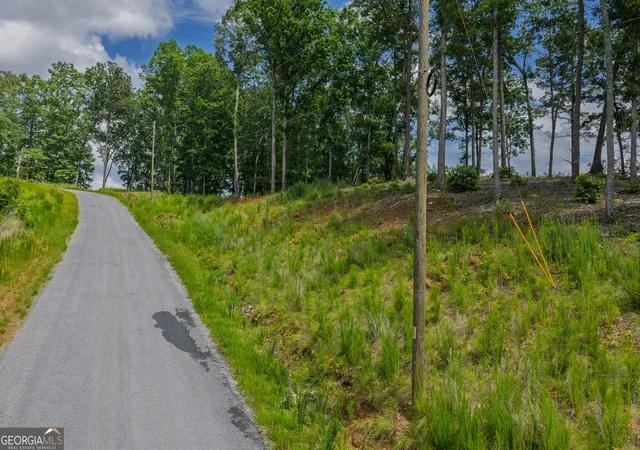 Homes for sale in Talking Rock, GA | Lot 296 Pebble Tr, Talking Rock, GA 30175 | MLS# 10786582