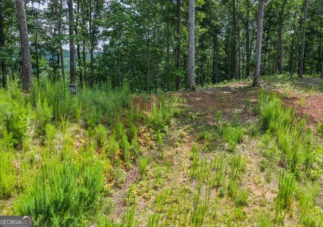 Homes for sale in Talking Rock, GA | Lot 296 Pebble Tr, Talking Rock, GA 30175 | MLS# 10786582