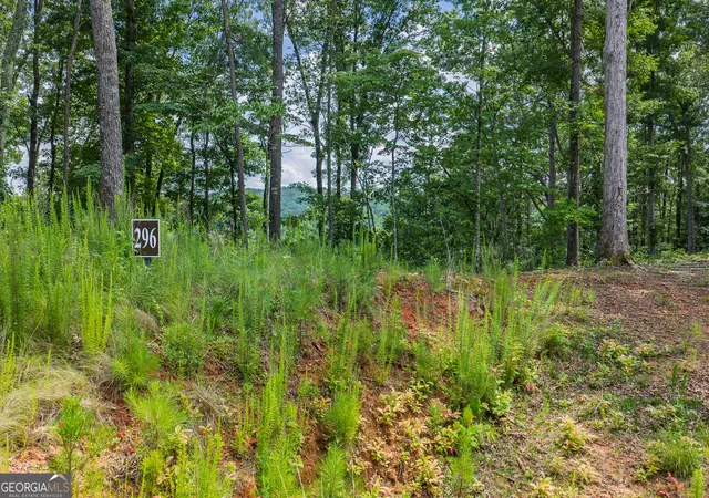 3rd image of Lot 296 Pebble Tr, Blue Ridge, GA 30513 | MLS# 10786582