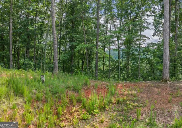 4th image of Lot 296 Pebble Tr, Blue Ridge, GA 30513 | MLS# 10786582