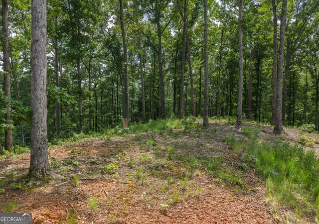 5th image of Lot 296 Pebble Tr, Blue Ridge, GA 30513 | MLS# 10786582
