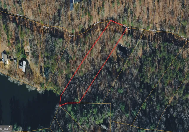 1st image of 0 White Pine Crk, Demorest, GA 30535 | MLS# 10818517