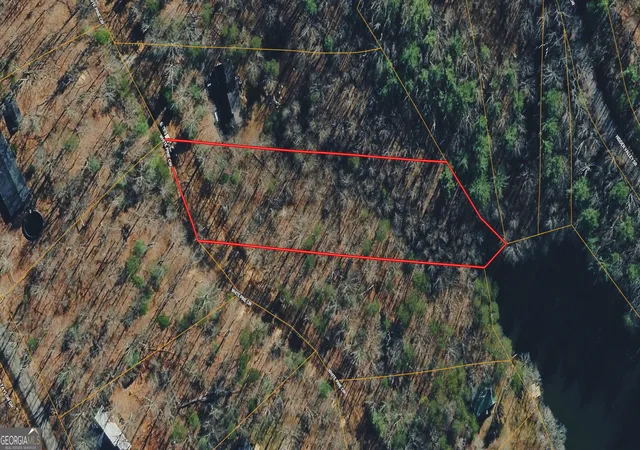 3rd image of 0 White Pine Crk, Demorest, GA 30535 | MLS# 10818517