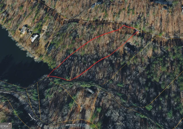 5th image of 0 White Pine Crk, Demorest, GA 30535 | MLS# 10818517