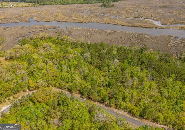 3rd image of Lot 47 Waverly Ln, White Oak, GA 31568 | MLS# 10724799