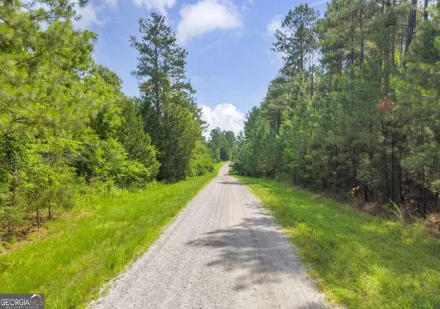 Homes for sale in Elberton, GA | 0 White Owl Dr, Elberton, GA 30635 | MLS# 10791488