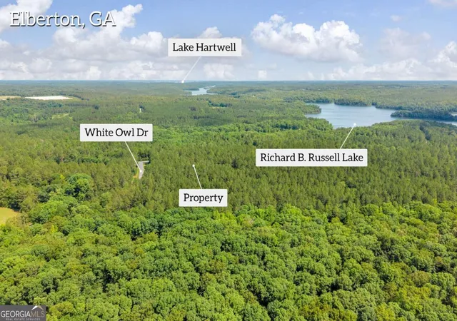 Homes for sale in Elberton, GA | 0 White Owl Dr, Elberton, GA 30635 | MLS# 10791488