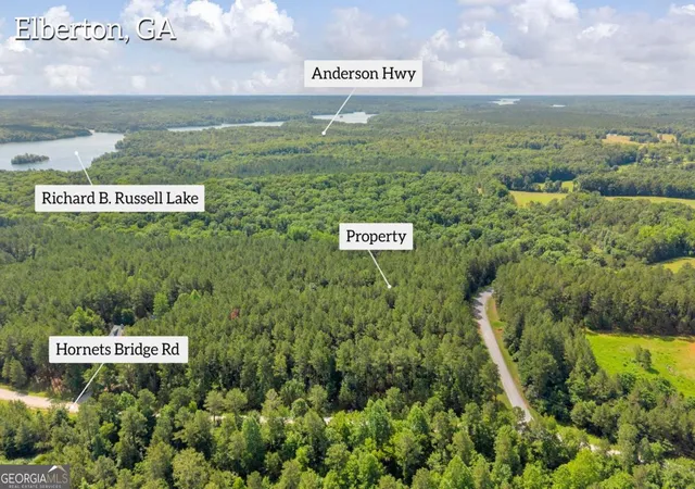 Homes for sale in Elberton, GA | 0 White Owl Dr, Elberton, GA 30635 | MLS# 10791488