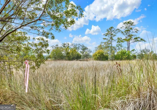 Photo 2 of Land for sale at 181 199 Burton Rd, Savannah, GA 31405 | MLS# 10665028 | Listing updated on 2026-04-20