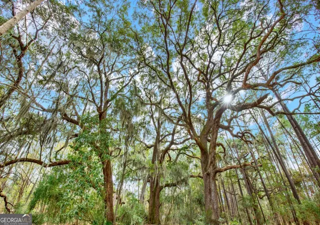 Photo 3 of Land for sale at 181 199 Burton Rd, Savannah, GA 31405 | MLS# 10665028 | Listing updated on 2026-04-20