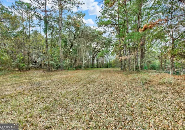 Photo 3 of Land for sale at 181-199 Burton Rd, Savannah, GA 31405 | MLS# 10665028 | Listing updated on 2026-10-28