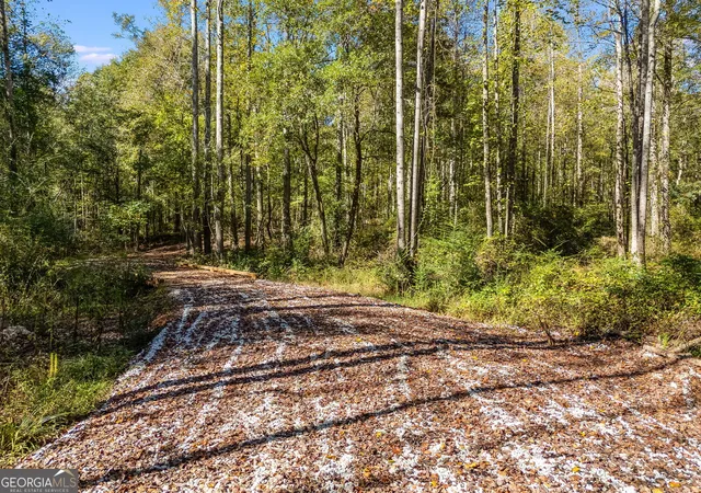 Photo 2 of Land for sale at 0000 Hog Liver Rd, Carrollton, GA 30117 | MLS# 10630818 | Listing updated on 2026-09-08