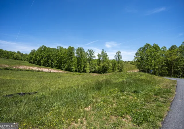4th image of Lot 15 Jonica Gap Rd, Mineral Bluff, GA 30559 | MLS# 10800072