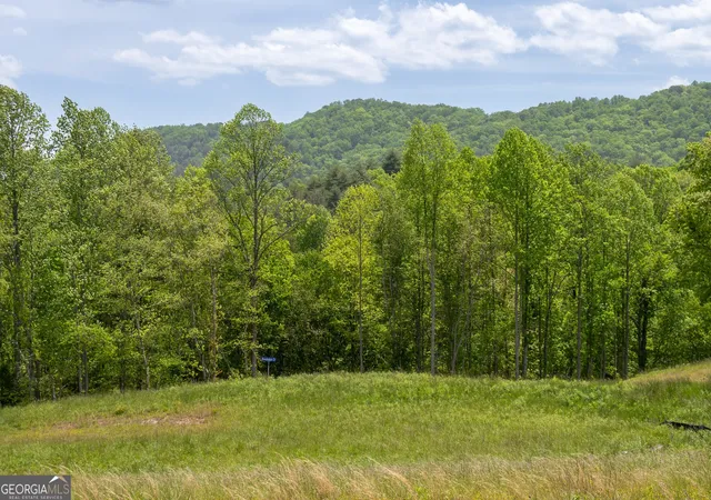 5th image of Lot 15 Jonica Gap Rd, Mineral Bluff, GA 30559 | MLS# 10800072