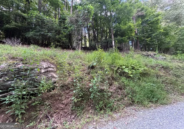 15th image of 1163 Tipton Springs Rd, Morganton, GA 30560 | MLS# 10813801