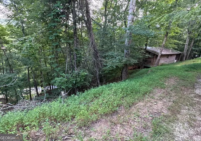 1st image of 1163 Tipton Springs Rd, Morganton, GA 30560 | MLS# 10813801