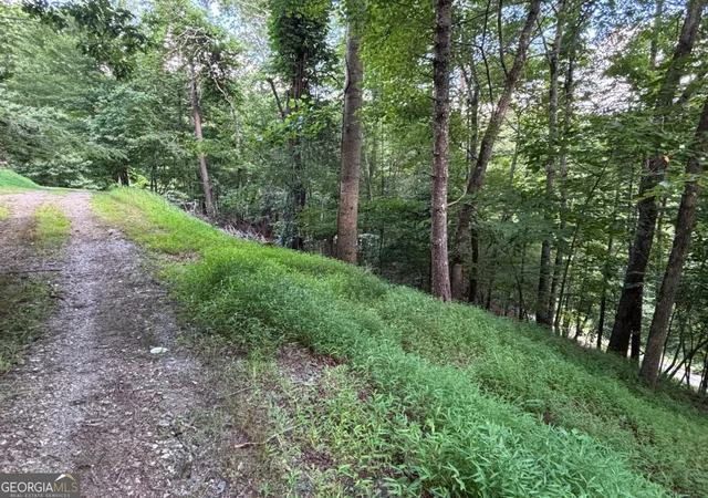 2nd image of 1163 Tipton Springs Rd, Morganton, GA 30560 | MLS# 10813801