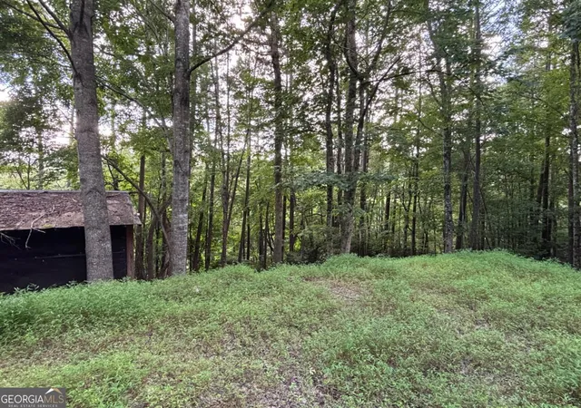 3rd image of 1163 Tipton Springs Rd, Morganton, GA 30560 | MLS# 10813801