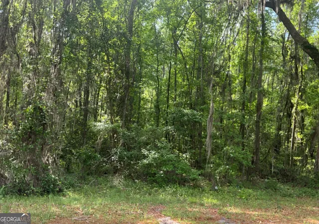 Photo 1 of Land for sale at 0 Youngman Rd, Townsend, GA 31331 | MLS# 10769903 | Listing updated on 2026-07-10