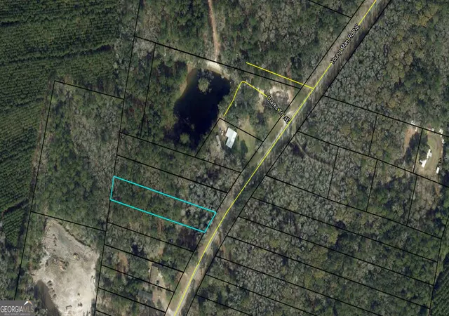 Photo 3 of Land for sale at 0 Youngman Rd, Townsend, GA 31331 | MLS# 10769903 | Listing updated on 2026-07-10