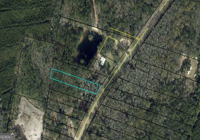 Photo 3 of Land for sale at 0 Youngman Rd, Townsend, GA 31331 | MLS# 10769903 | Listing updated on 2026-07-10