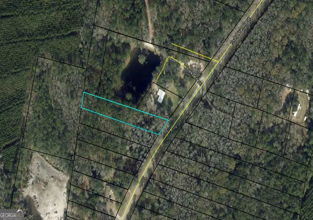Photo 4 of Land for sale at 0 Youngman Rd, Townsend, GA 31331 | MLS# 10769903 | Listing updated on 2026-07-10